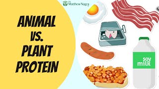 Animal vs. Plant Protein and Malnutrition