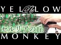 セルリアの丘:THE YELLOW MONKEY【ピアノ・ソロ】