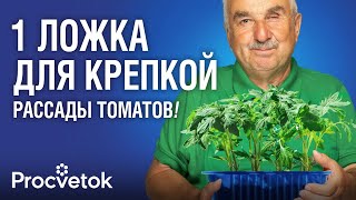 ВСЕГДА ПОСЫПАЮ ЭТОЙ МУКОЙ ТОМАТЫ ПРИ ПОСЕВЕ: всходят быстро и не болеют!
