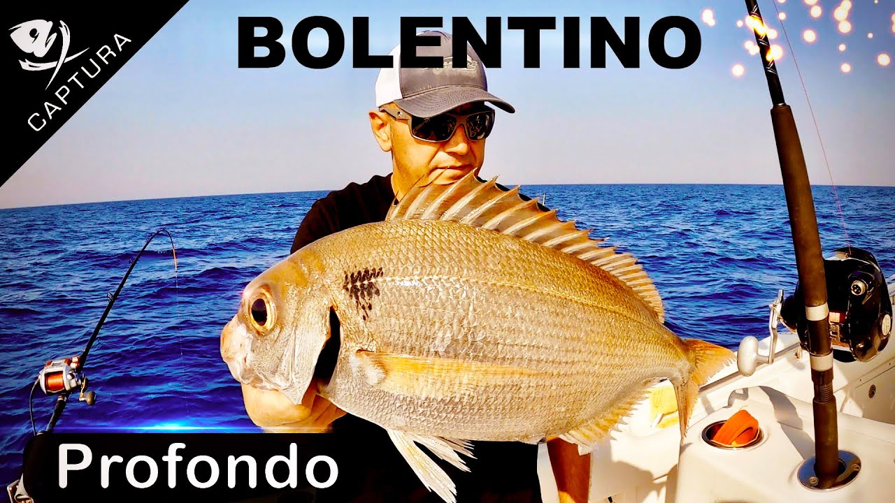 BOLENTINO PROFONDO: pezzogne a Ponza