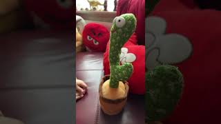 Cactus toy | recording cactus