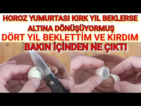 Video: Hansı kilsələr yevangelist hesab olunur?