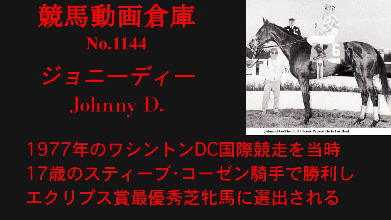 競馬 ジョニーディー Johnny D No1144 Youtube