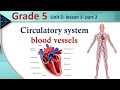 science -grade5- unit 2 Circulatory system and circulation part 2شرح ساينس خامسه ابتدائي