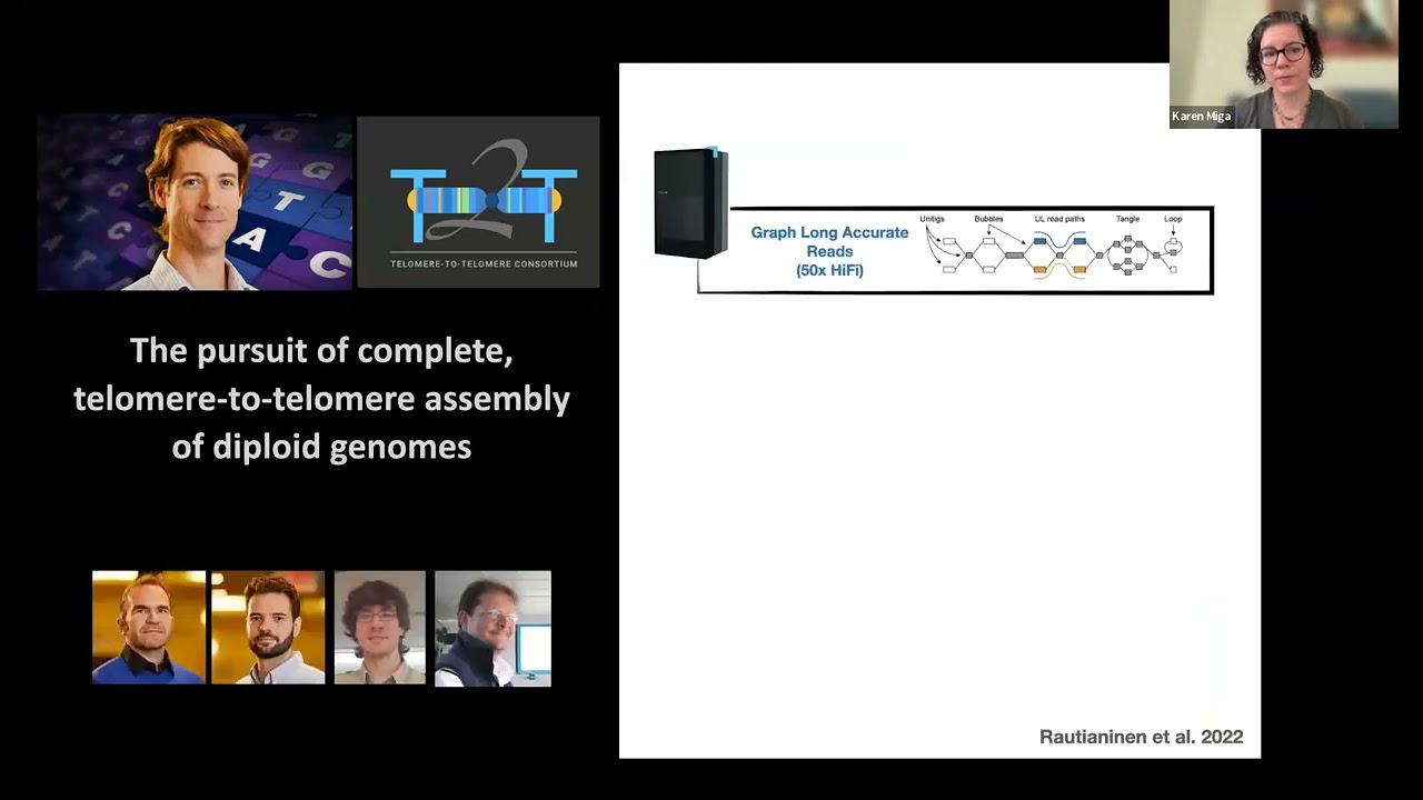 Expanding studies of global genomic diversity with complete, telomere-to-telomere (T2T) assemblies