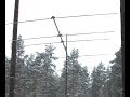 Антенны в условиях леса