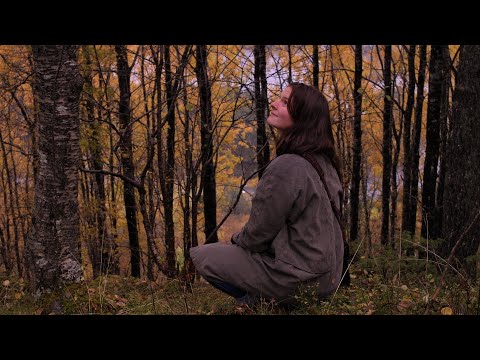 Video: Hvordan Plukke Bær I Skogen