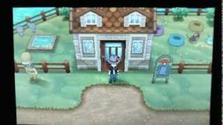 Pokemon X & Y Money Guide