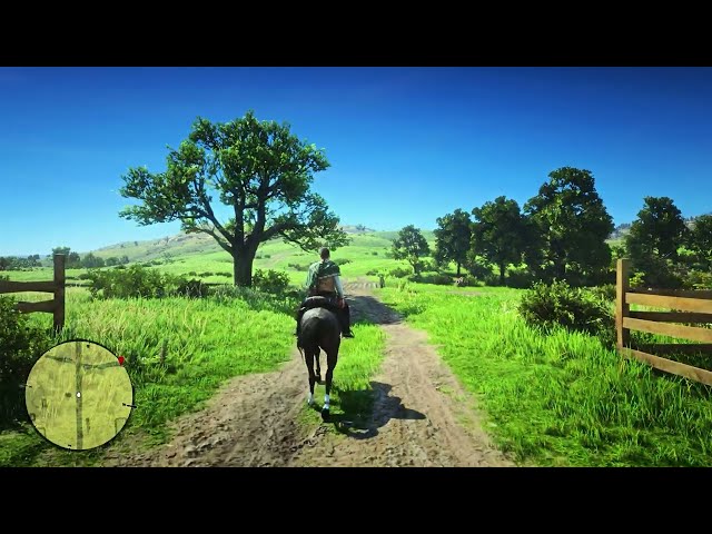 This Mod Will Turn Red Dead Redemption 2 In Next Generation Game | RTX 4080 - Ryzen 7 5800X 3D class=