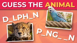 ANIMAL WITHOUT VOWELS  Are you SMART enough to solve these puzzles? | Animal Quiz