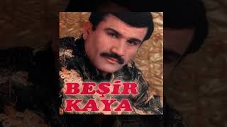 Beşir Kaya - Meyro Resimi