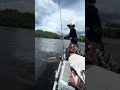 Work life balance #florida #attorney #everglades