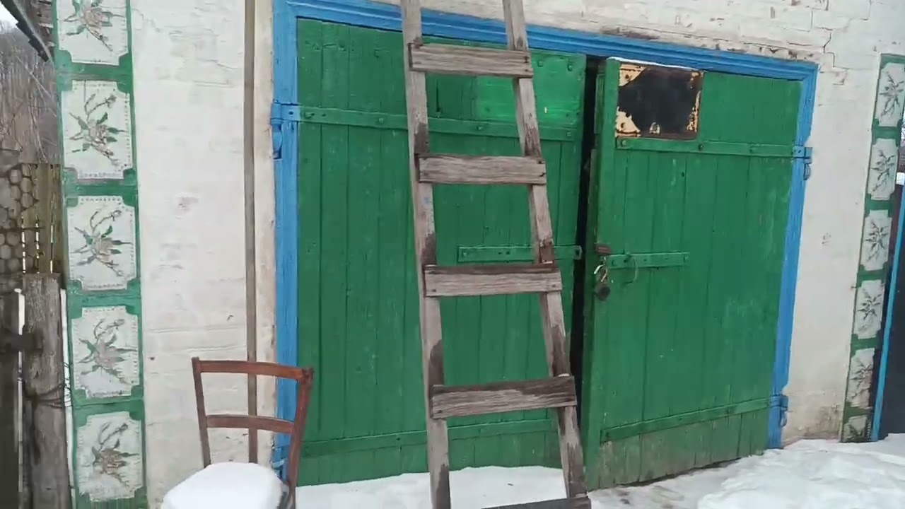 Наши соокружение во дворе... Почему мы не держим сейчас курей? Переселенцы 🇺🇦
