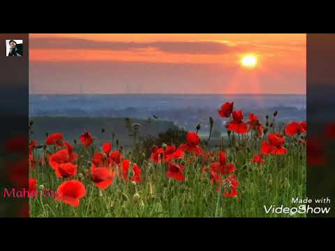 فين طريقك فين محمد عبد الوهاب Maher Wassouf