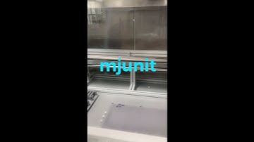 mjunit automatic single axis reciprocating transition synchronous belt slide customized heavy load