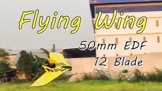 Rc Foam Build a Flying Wing Ductfan 43