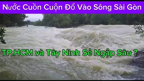 Sẻ Ngập Sâu Ở  Tây Ninh Và Thành Phố Hồ Chí Minh Khi Hồ Dầu Tiếng Xã Lũ Vào Sông Sài Gòn