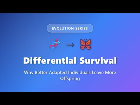 Differential Survival: How Better-Adapted Organisms Leave More Offspring | Evolution Explained