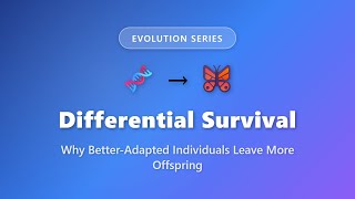 Differential Survival: How Better-Adapted Organisms Leave More Offspring | Evolution Explained