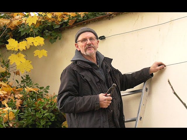 S'aménager un espace pour plantes grimpantes avec du fer à béton et  treillis soudé - passeur de plantes