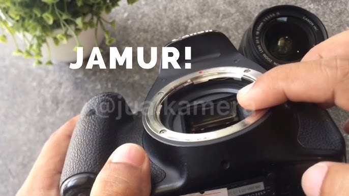 Paypoqda kotiba bilan porno