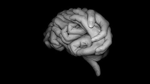 The Signing Brain: What Sign Languages Reveal about Human Language and the Brain