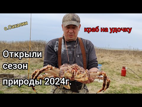 Видео: Открываем сезон природы 2024г. Поймали краба, накопали ракушки. о.Сахалин