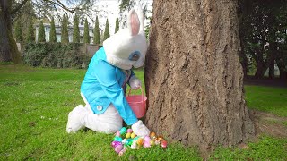 Conejo Esconde los Huevos de Pascua