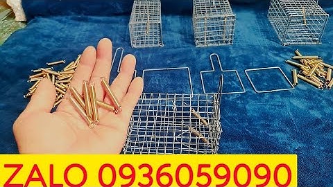 Lồng bẫy chuột đồng. Lồng bẫy chuột đường mòn. Lò xo làm bẫy chuột. Lồng bẫy chuột đàn.Bán bẫy chuột