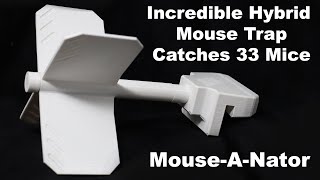This Hybrid Mouse Trap Is One Of The Best Mouse Traps Ever Made - 33 Mice Caught -Mousetrap Monday