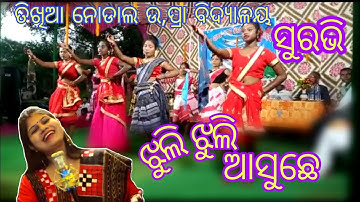 Jhuli Jhuli Asuchhe Re Kala Mohana |Mitu Bhai | Sambalpuri Bhajan Video