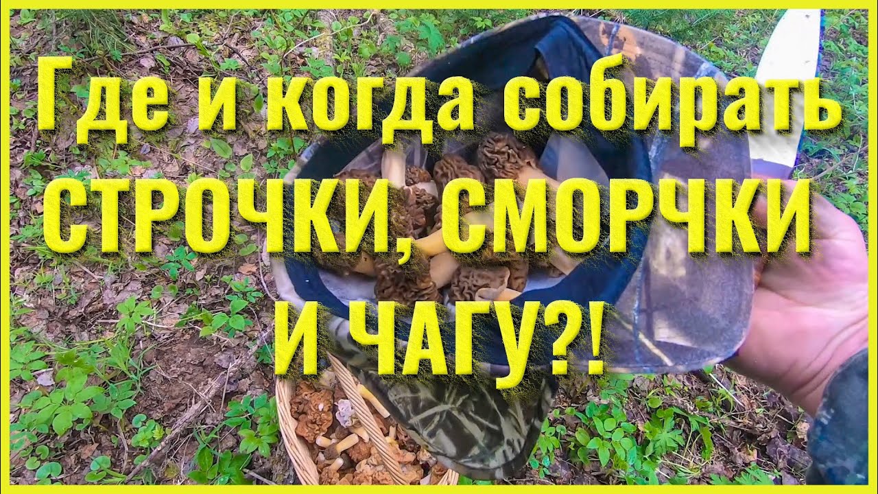 Иж где собирают