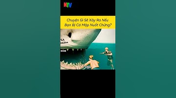 Chuyện Gì Xảy Ra Nếu Bạn Bị Cá Mập Nuốt Chửng?😧 #shortsvideos #xuhuong