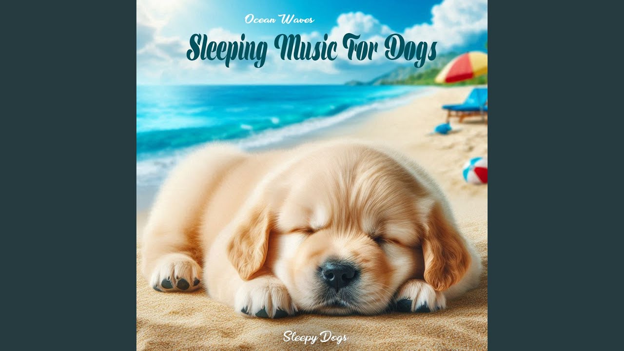 Night Calm Dogs Sleep Peacefully Paradise