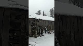 Camping in a forest hut in heavy snow - کلبه برفی #shorts