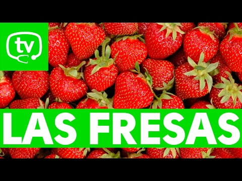 Video: Propiedades útiles De Las Fresas Con Recetas