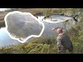 Рыбалка КАСТИНГОВОЙ сетью на ЗАЛИВНЫХ прудах. Casting net fishing caught a big fish