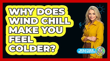 Why Does Wind Chill Make You Feel Colder? - Weather Watchdog
