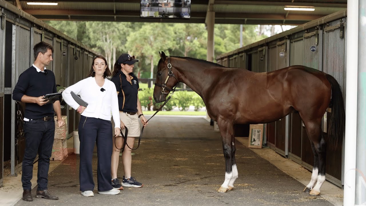 AR Inglis Classic Day 1 Wrap Up