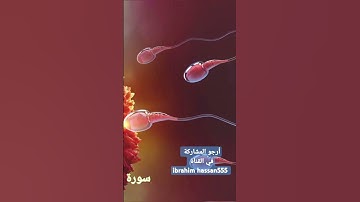 ماتيسر من سورة الطارق