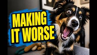 Your Dog Isn't Hyper. They're Overwhelmed | Dog Behavior