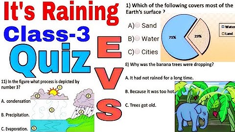 QUIZ (test yourself) / It