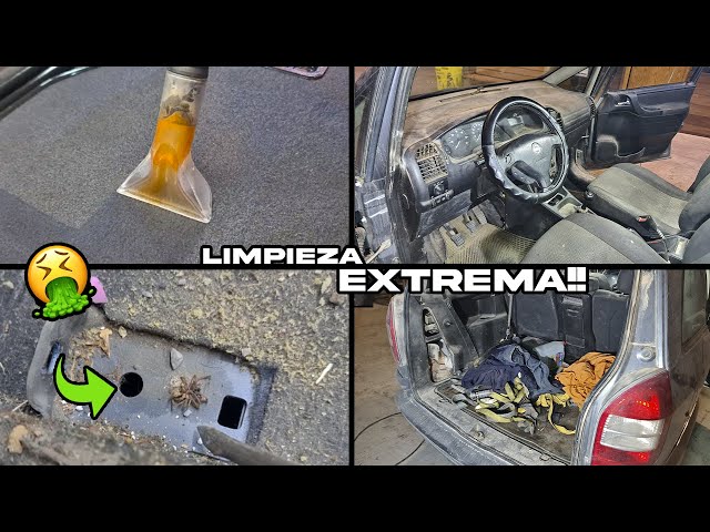 CxSound: Limpieza extrema de coches – Aprende a limpiar tu coche