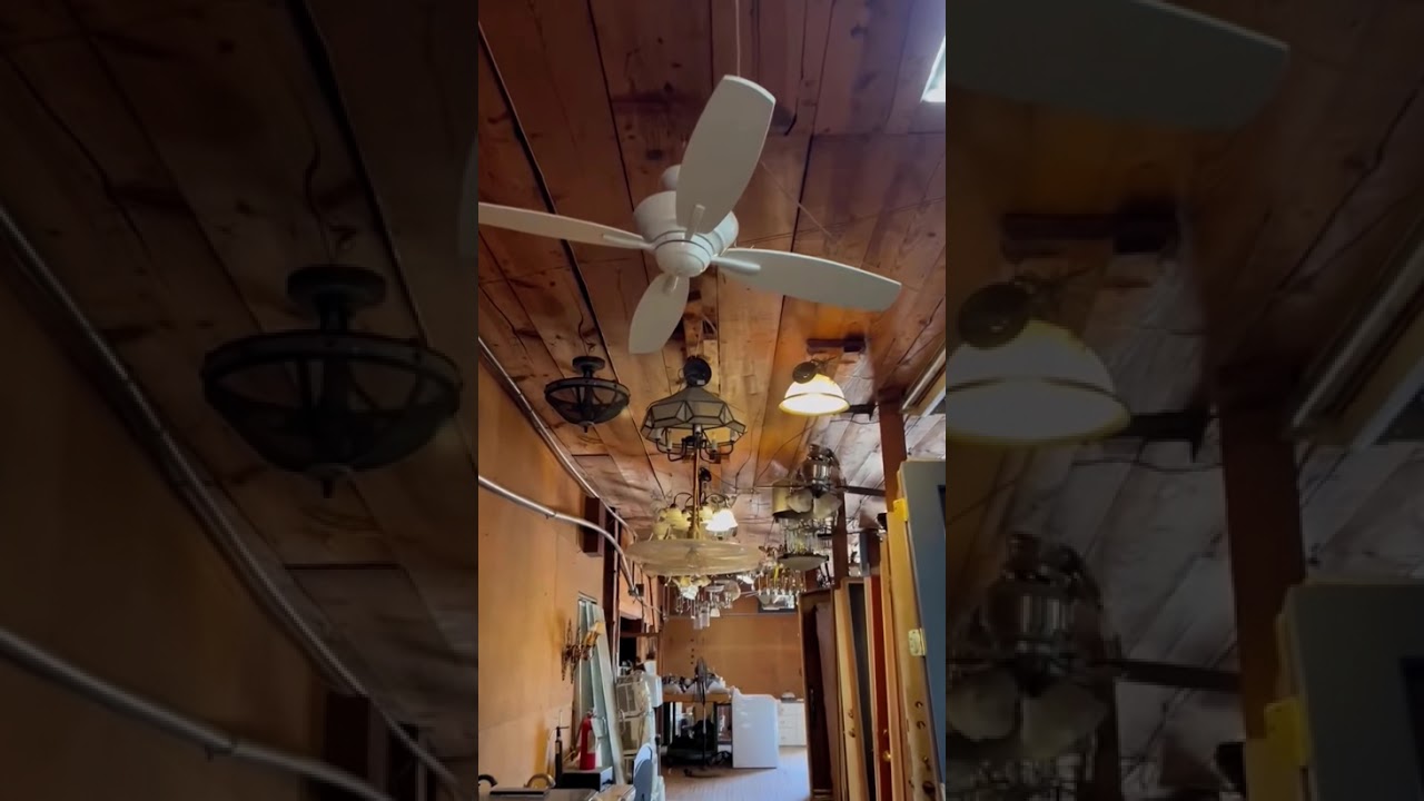 Ceiling fans display at lighting store