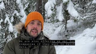 Arboreal Forest - December 2021