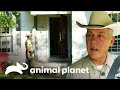 Guardián no puede detener a hombre con orden de arresto | Guardianes de Texas | Animal Planet