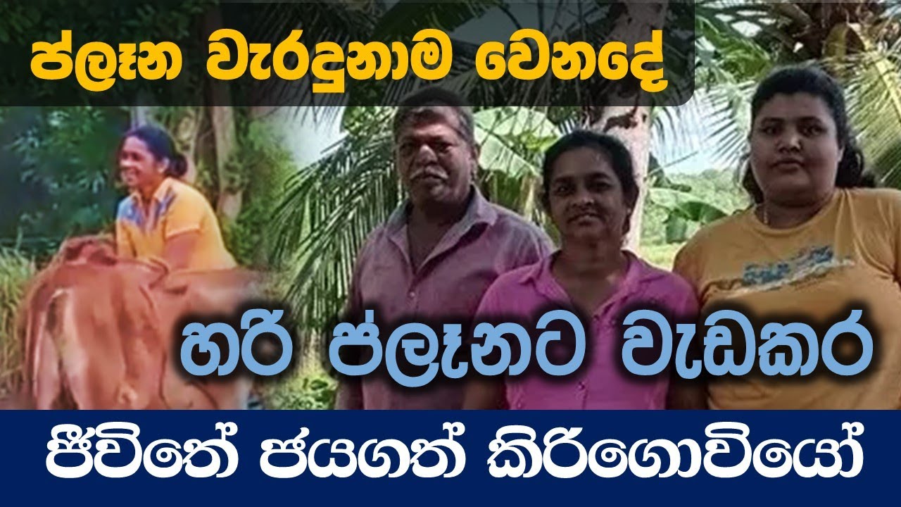 ජිවිතේ දිනන කිරි ගොවියෝ 