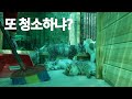 태풍 이후 산골 고양이｜청소 브이로그｜저녁 메뉴는 비빔사료｜다묘집 배식 방법