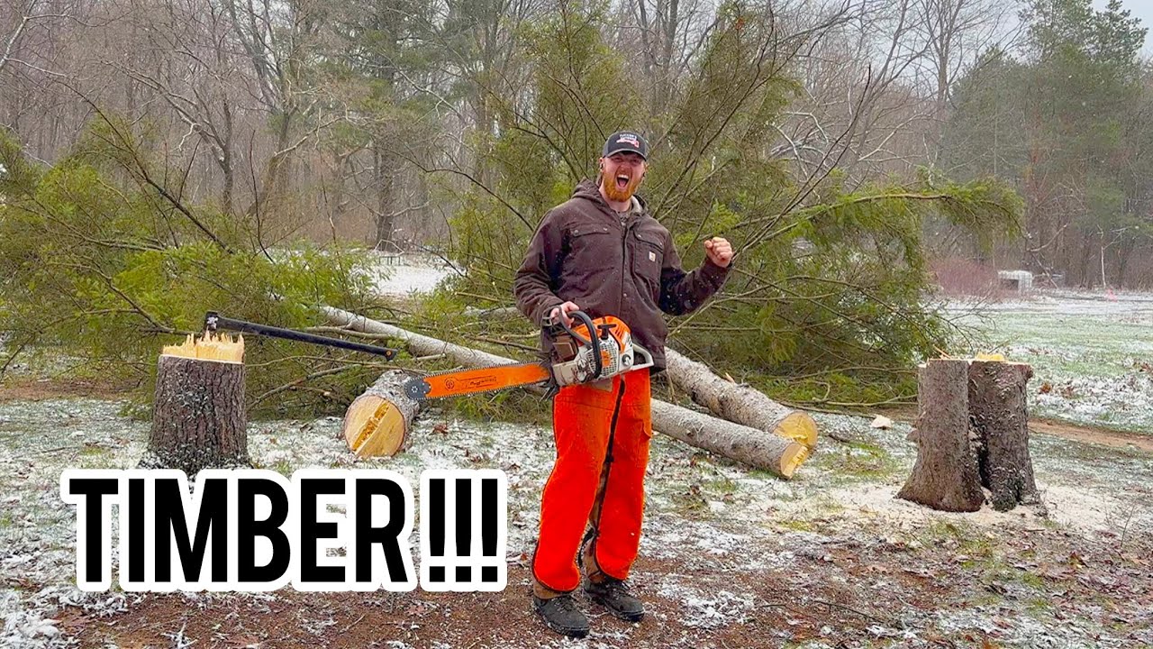 These Trees Did NOT Fall Where I Wanted!(Almost Hit House…) - YouTube