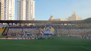 Mosaico Torcida Os Tigres - De Pai para Filho, e Sempre Será - Criciúma x Novorizontino 2023